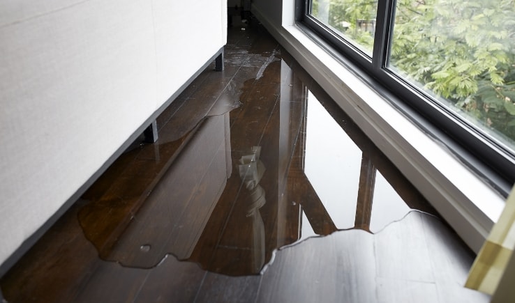 Photo of water damage on a hardwood floor near a window, indicating potential sealant need.