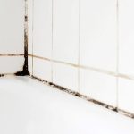 How to remove mold from shower caulking area before recaulking