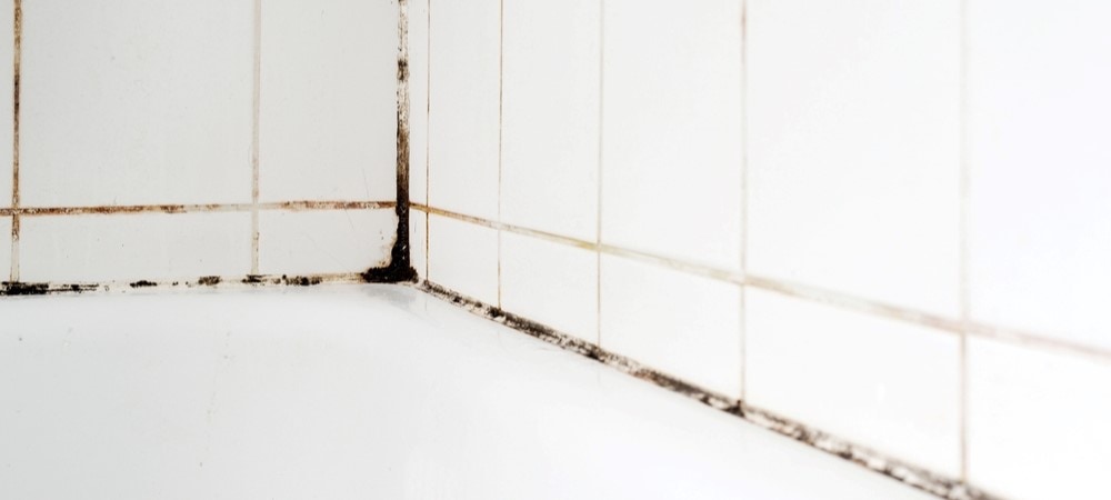 how to remove mold from shower caulking, mold removal