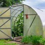 How to seal a greenhouse for maximum insulation