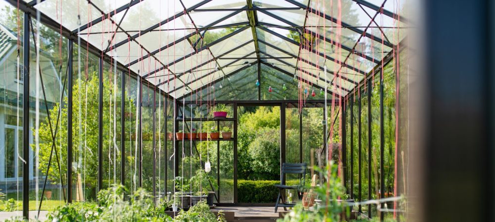 A photo of a greenhouse