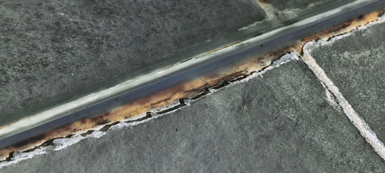 Mold on a bathroom tile.