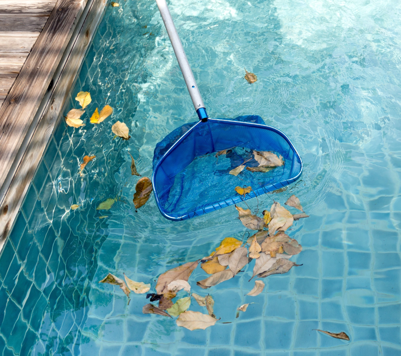 Homeowner following summer pool maintenance tips by cleaning the pool of debris.