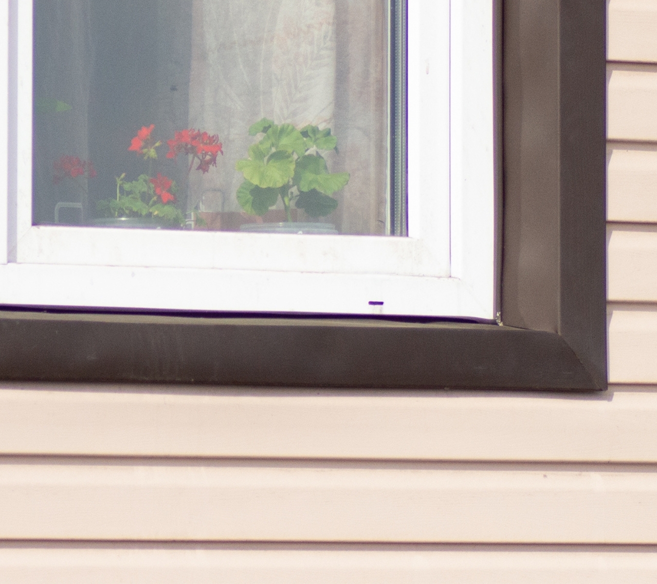 Window weep holes that must stay open for proper drainage.