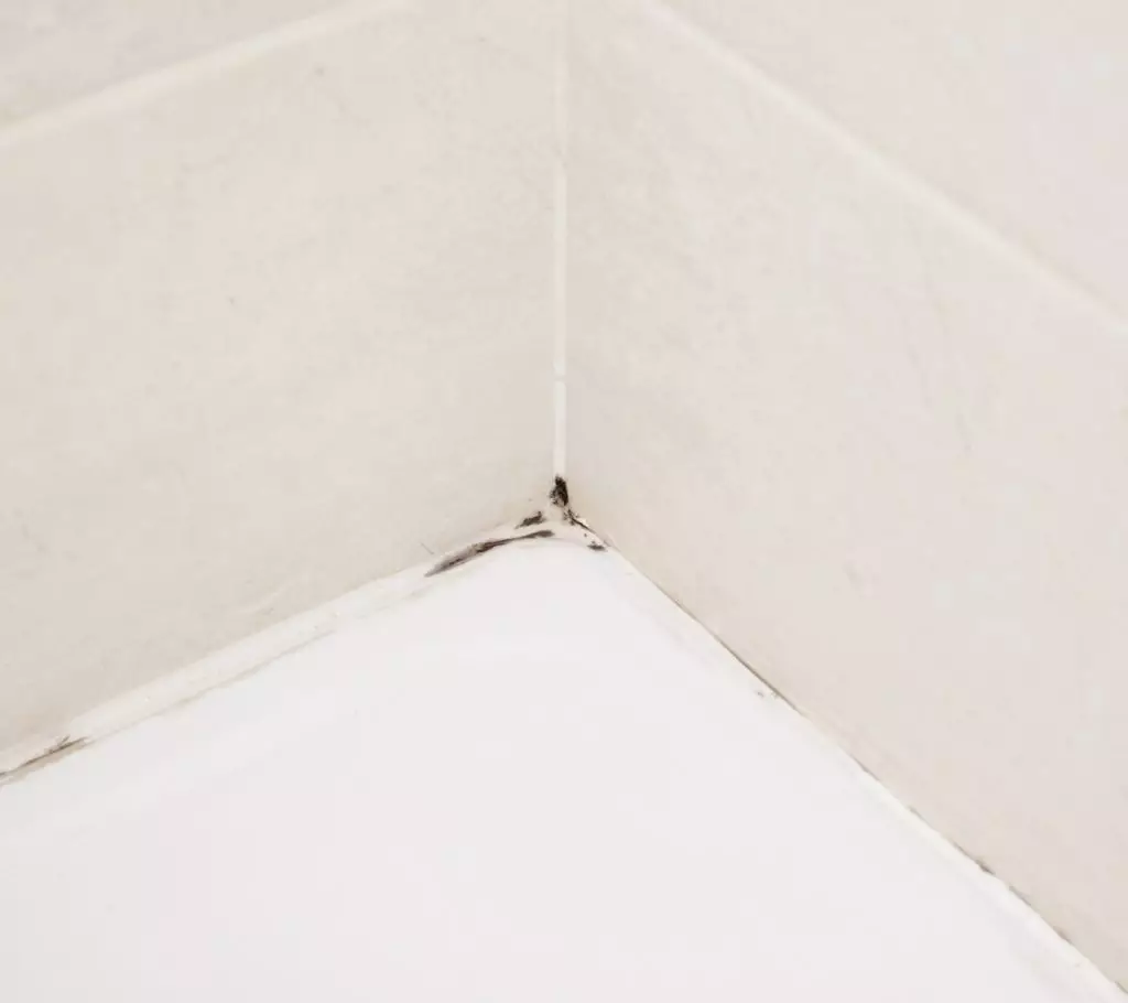 Tight corner shot of a shower or tub corner where black mildew is visible along the seam.